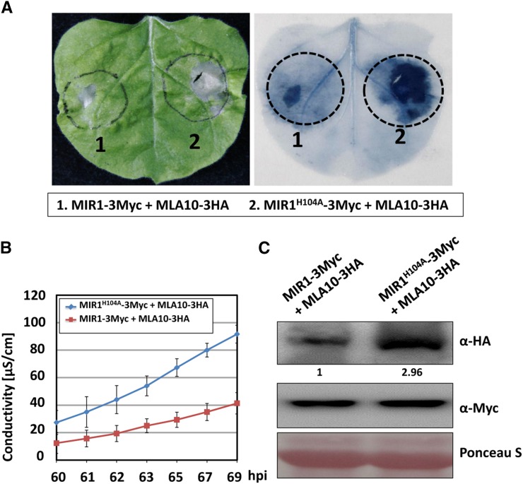 Figure 6.