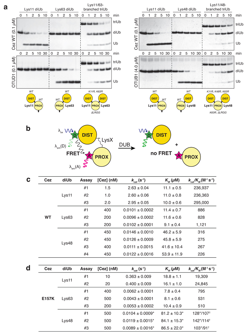 Extended Data Figure 1