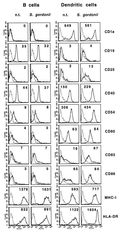 FIG. 5