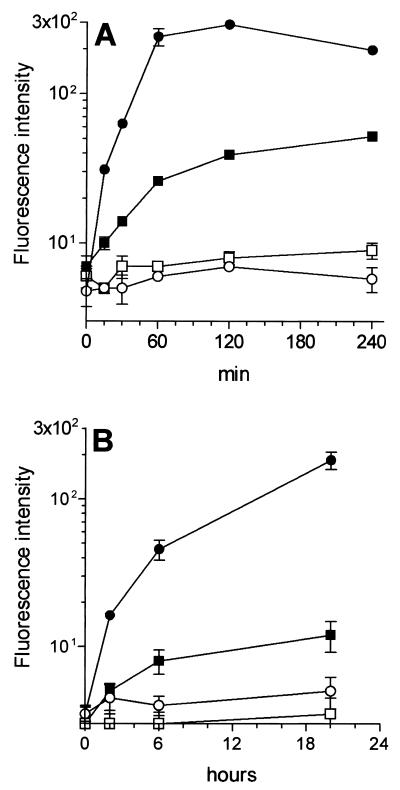 FIG. 4