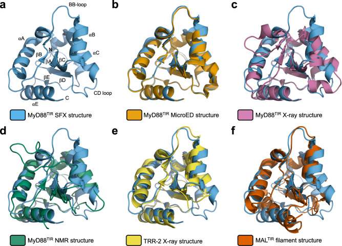 Fig. 3