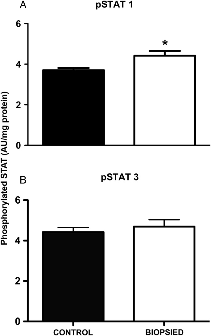 Figure 1