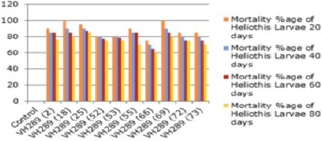 Figure 10