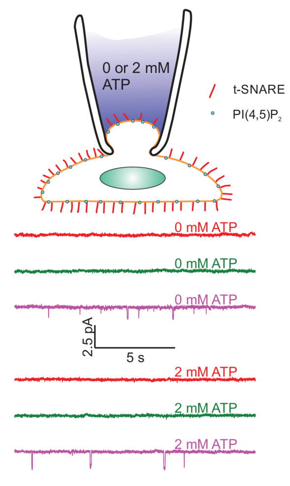 Appendix 1—figure 9.