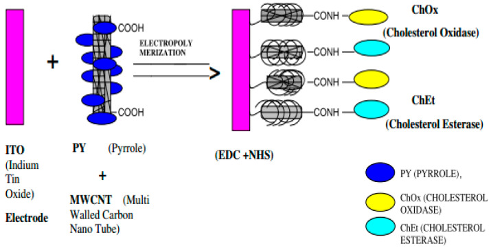 Figure 12