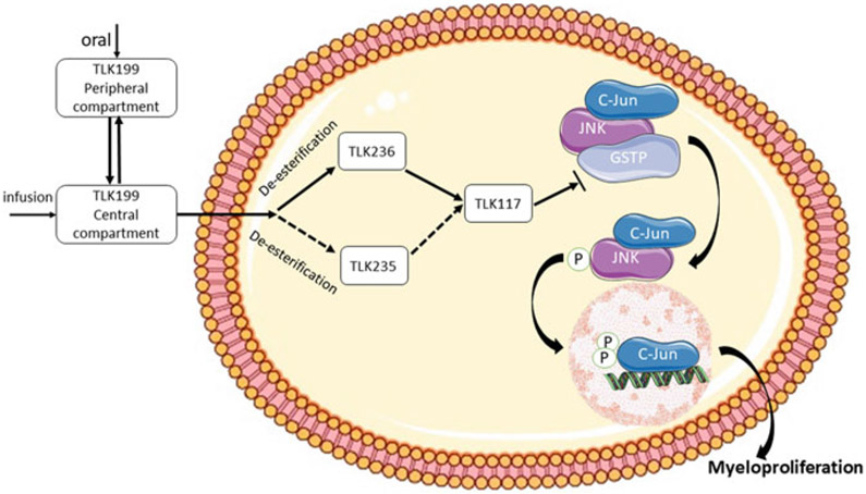 Fig. 2