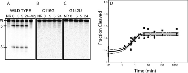 Figure 7.