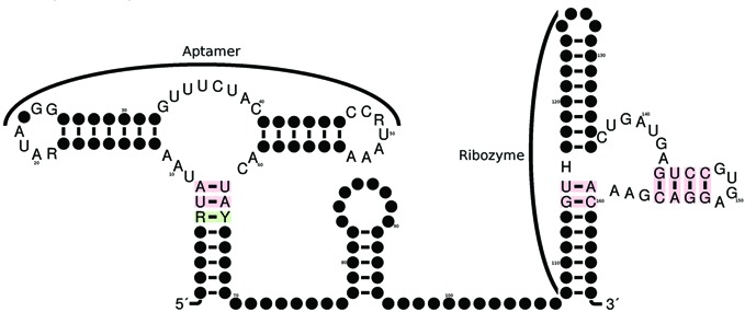 Figure 3.