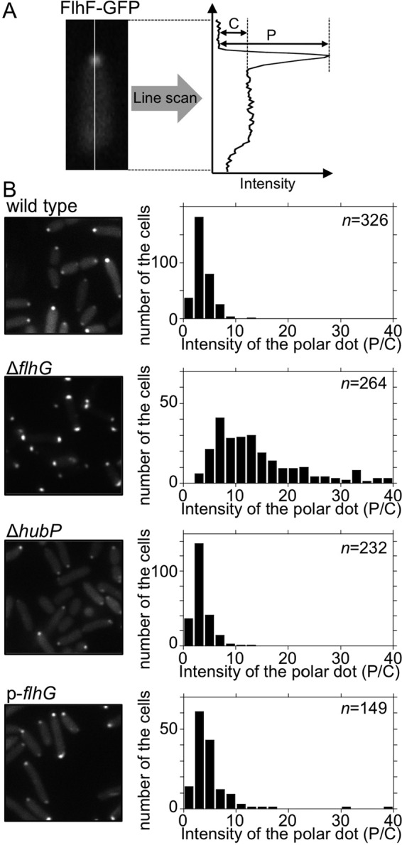 FIG 4