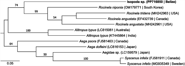 Figure 3.