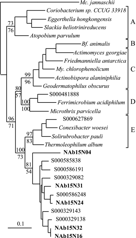 FIG. 4.