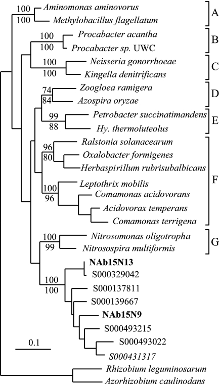 FIG. 5.