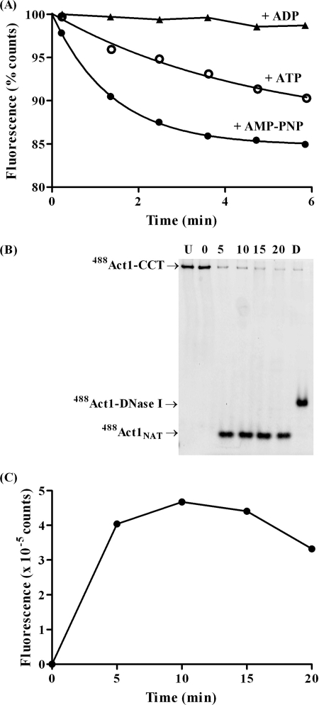 FIGURE 6.