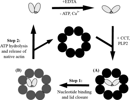 FIGURE 7.