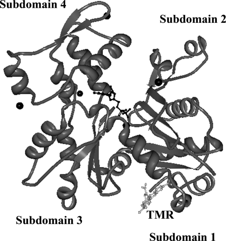 FIGURE 1.