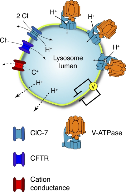 Figure 1.