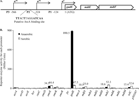 FIGURE 1.