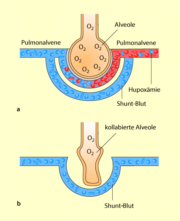 graphic file with name 6376_9_De_53_Fig2_HTML.jpg