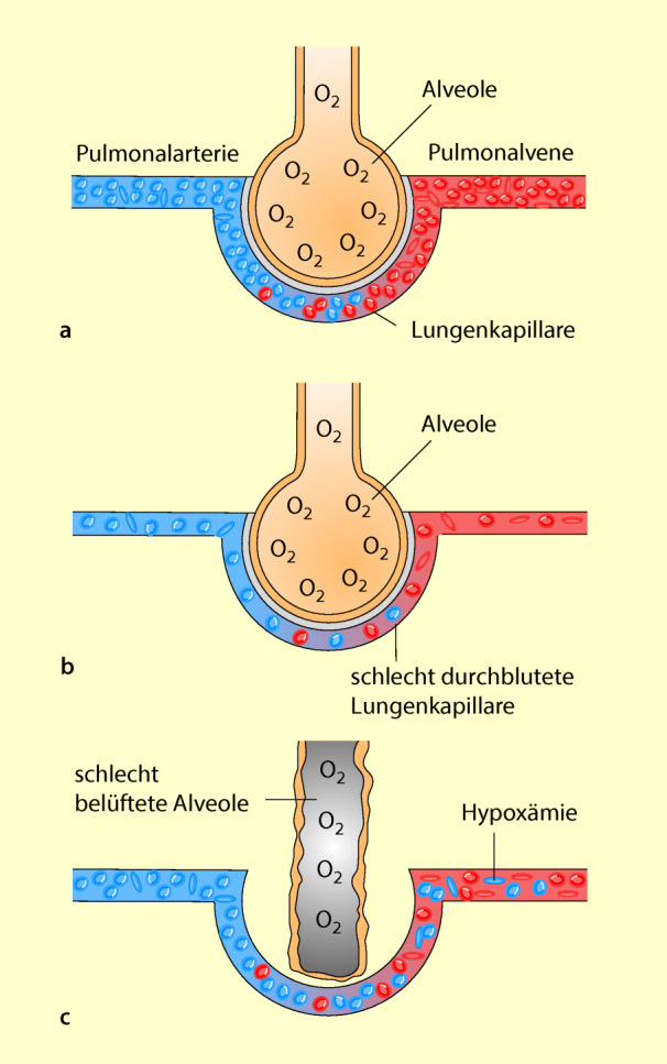 graphic file with name 6376_9_De_53_Fig1_HTML.jpg