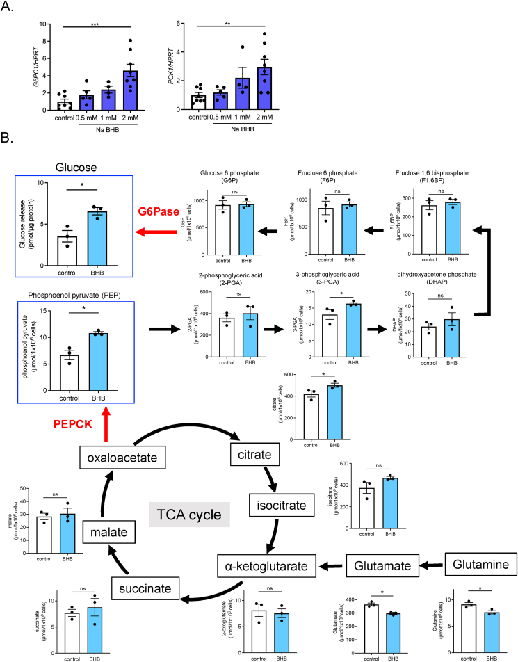 Figure 6