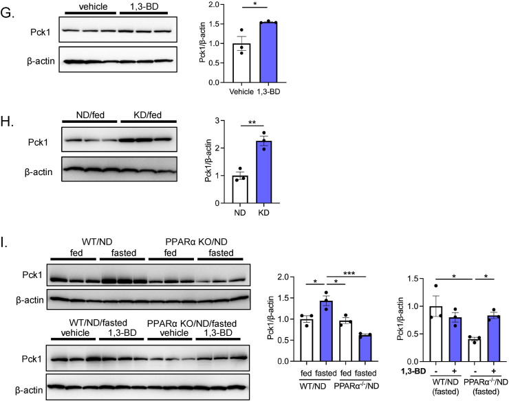 Figure 5