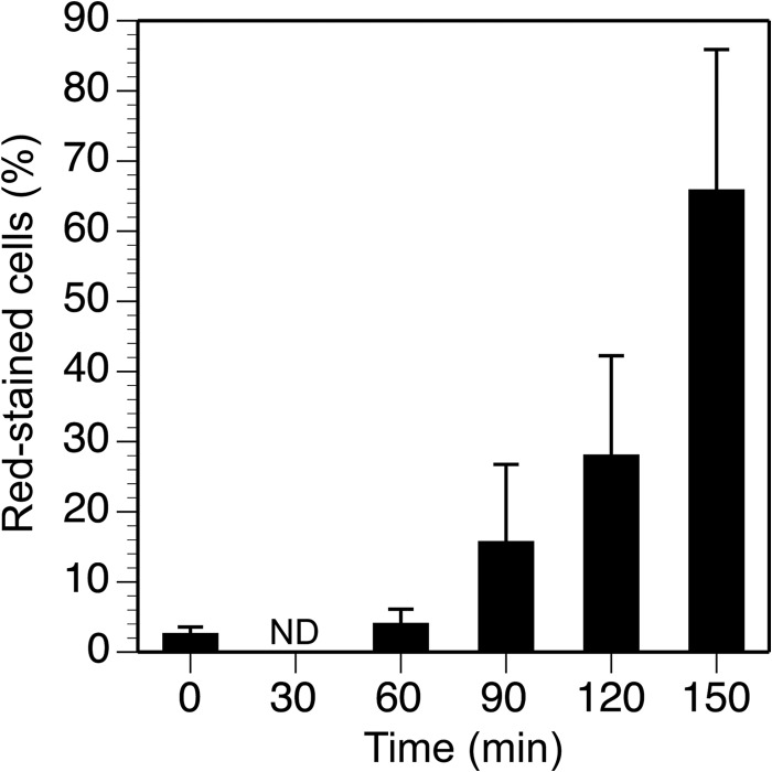 FIGURE 5.