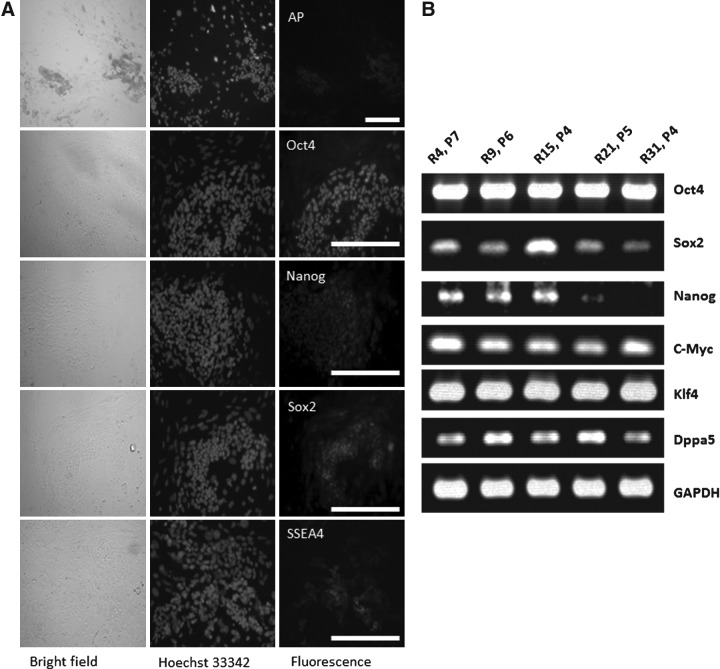 FIG. 4.