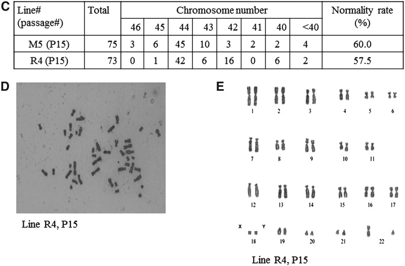 FIG. 4.