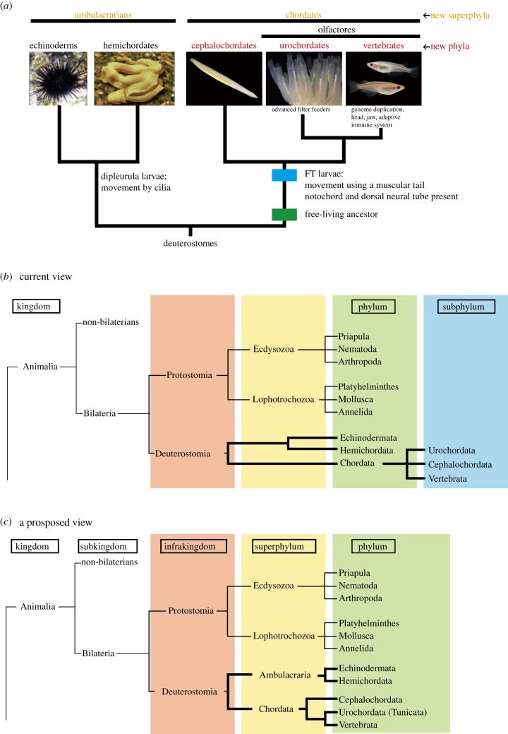 Figure 1.