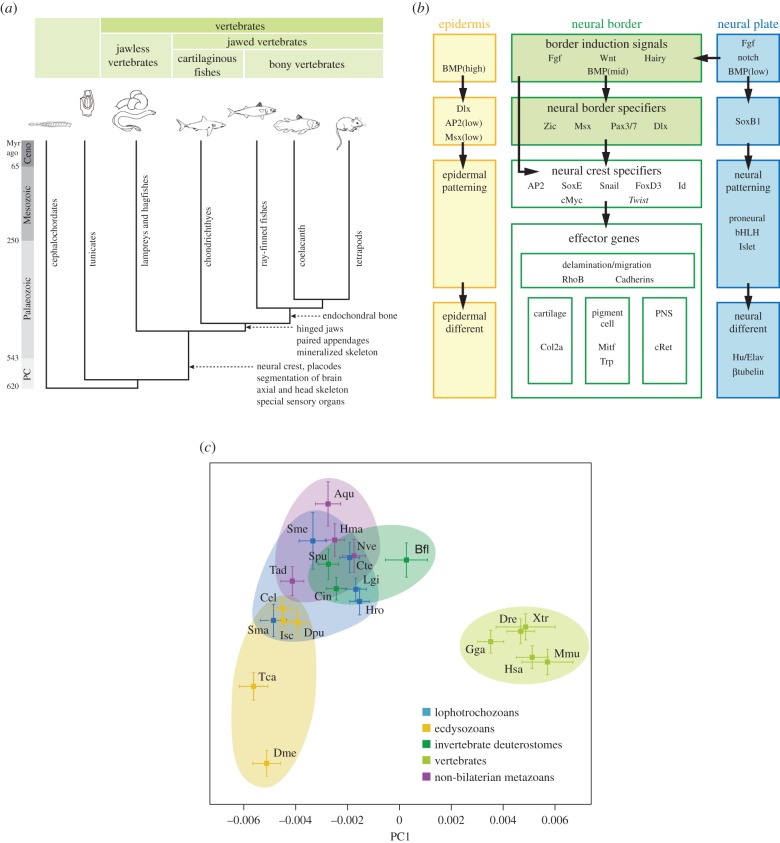 Figure 2.