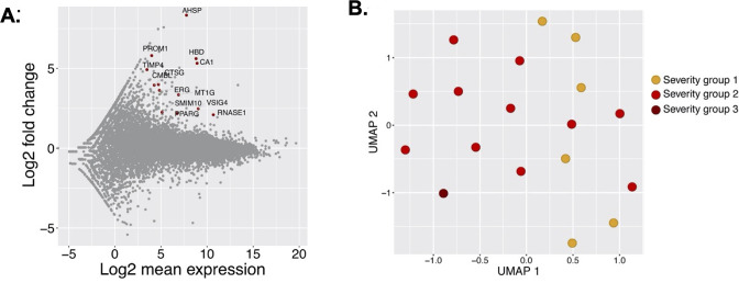 Figure 1—figure supplement 2.