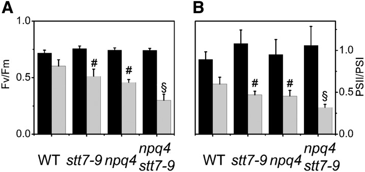 Figure 7.