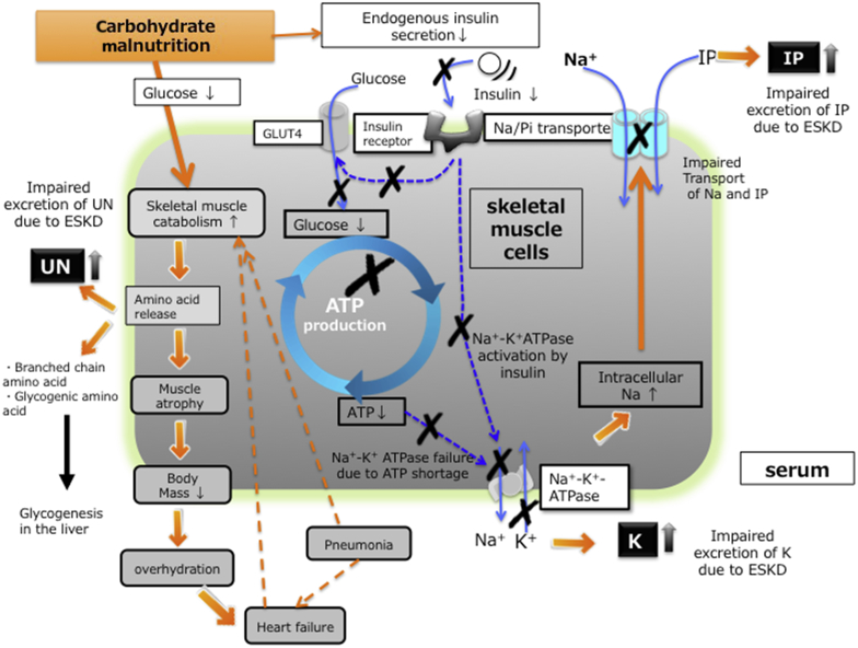 Figure 2