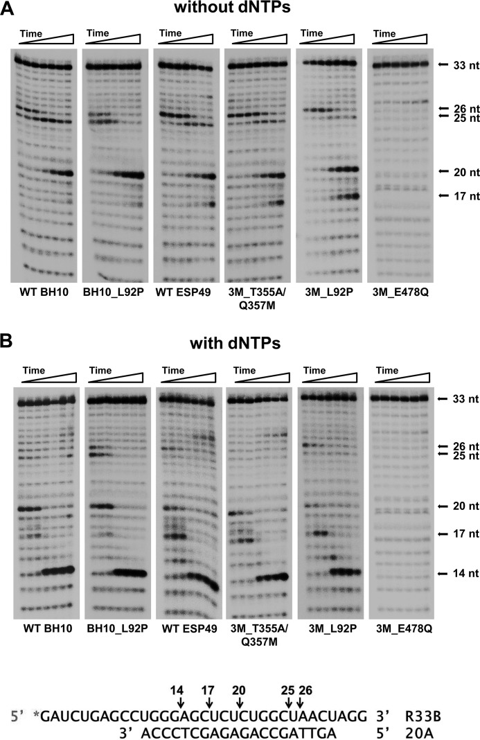 Figure 5.