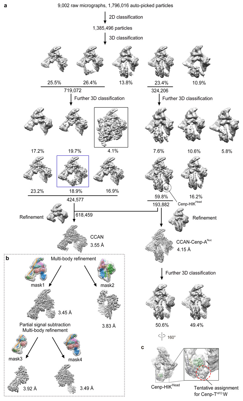 Extended Data Figure 3