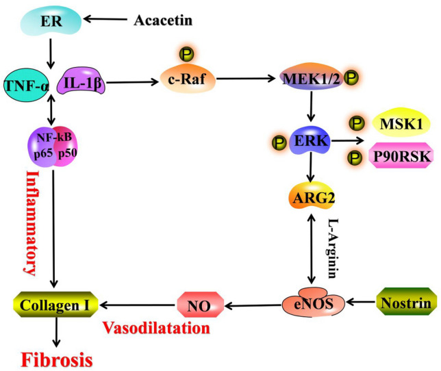 Fig. 15