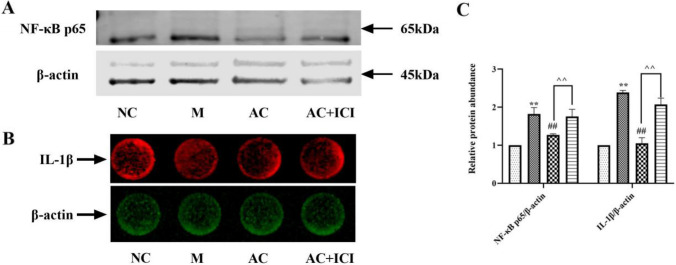 Fig. 12