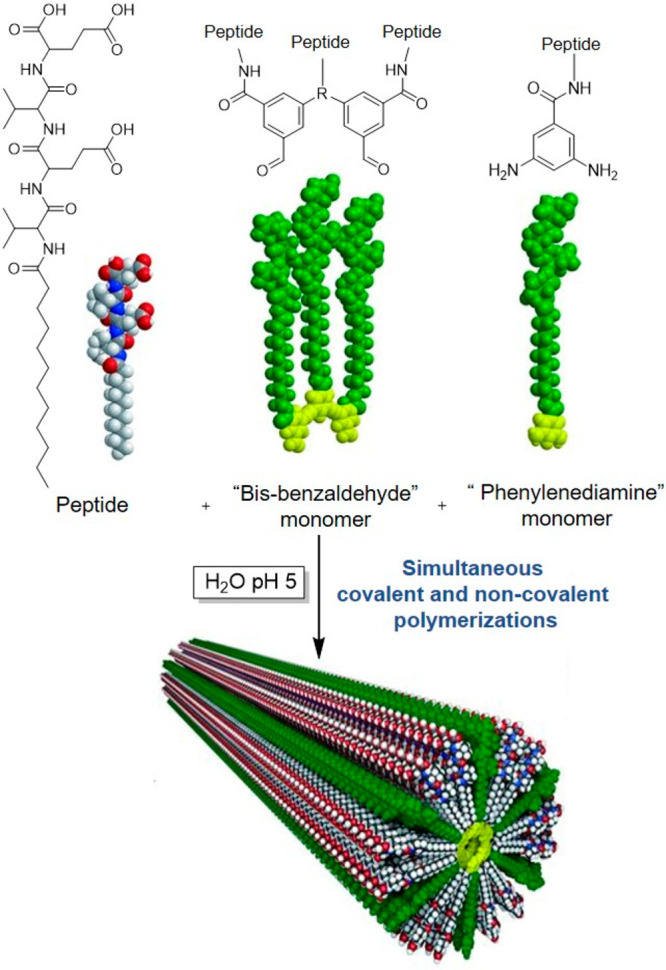 Scheme 6