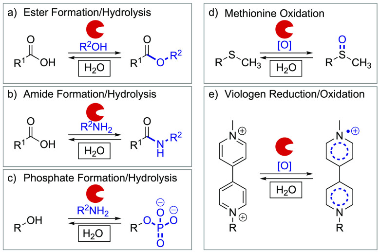 Scheme 4