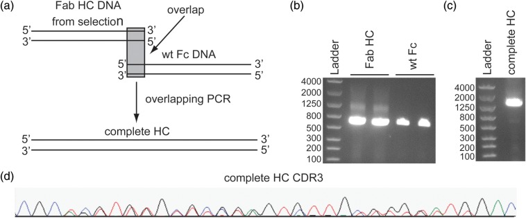 Fig. 4.