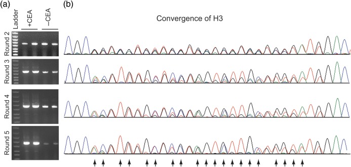 Fig. 3.