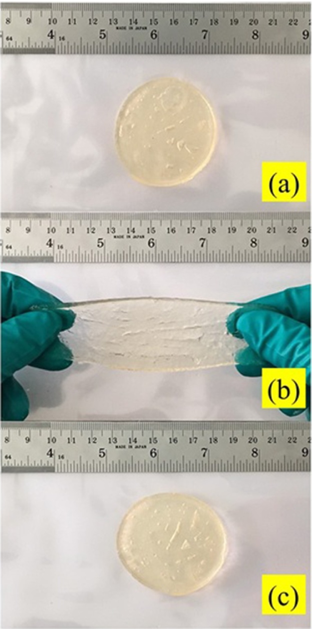 Fig. 2