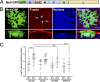 FIG 2