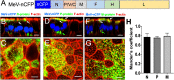 FIG 3