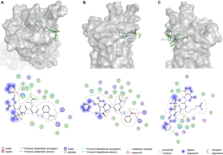 FIGURE 11