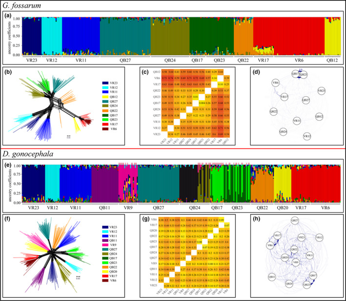 FIGURE 4