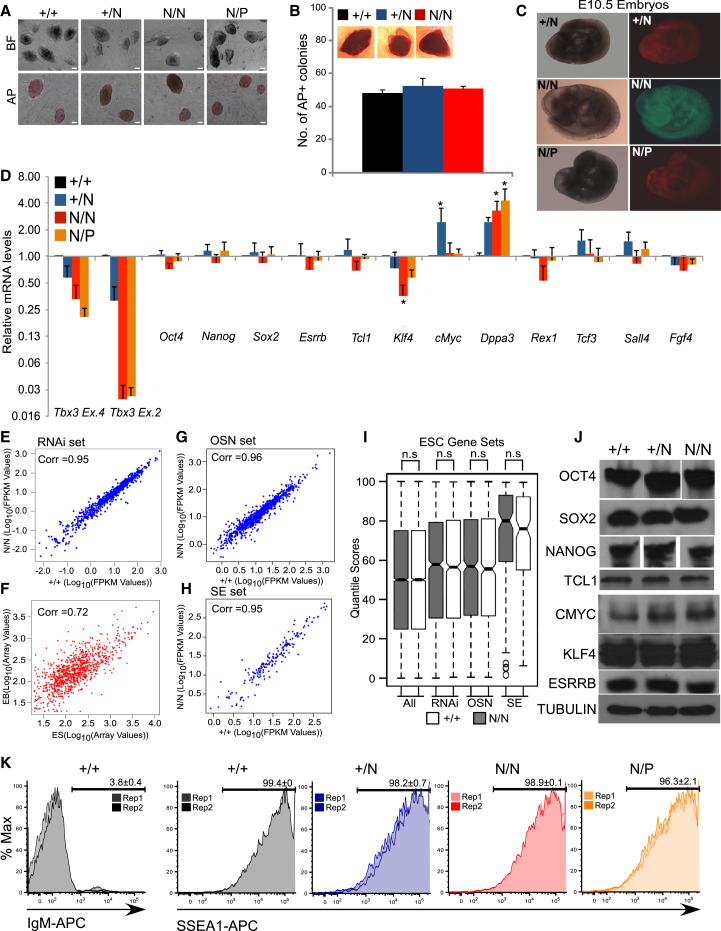 Figure 2