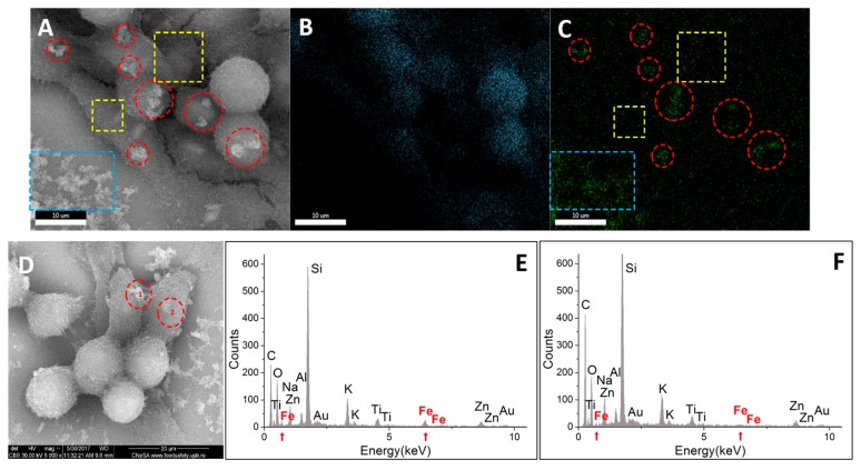 Figure 18