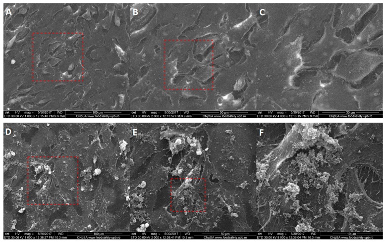 Figure 15