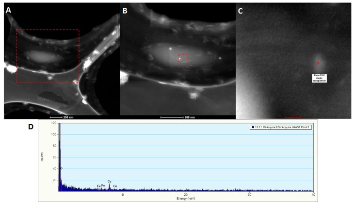 Figure 20